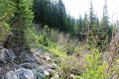 01 Miners Road, Idaho Springs, CO 80461 - Photo 15
