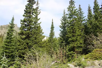 01 Miners Road, Idaho Springs, CO 80461 - Photo 11