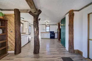 10573 Co Rd 165, Matheson, CO 80830 - Photo 11