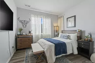 9287 Twenty Mile Road, Parker, CO 80134 - Photo 11