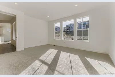 3954 Buttongrass Trail, Castle Rock, CO 80108 - Photo 9