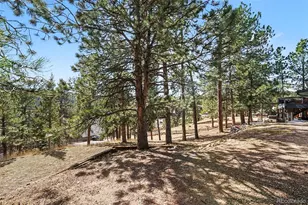 28094 Harebell Ln, Evergreen, CO 80439 - Photo 31