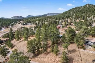 28094 Harebell Ln, Evergreen, CO 80439 - Photo 29