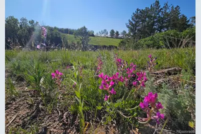 2937 Keep Drive, Sedalia, CO 80135 - Photo 7