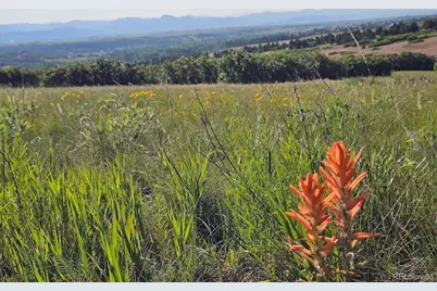 2937 Keep Drive, Sedalia, CO 80135 - Photo 11
