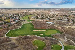1663 Rose Petal Ln, Castle Rock, CO 80109 - Photo 47