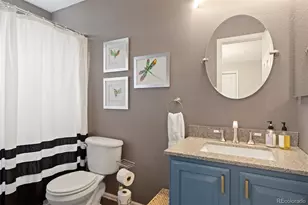1663 Rose Petal Ln, Castle Rock, CO 80109 - Photo 37