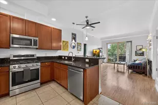 1700 N Emerson Street, Denver, CO 80218 - Photo 3