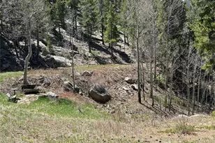 72 Rudi Ln W, Golden, CO 80403 - Photo 33