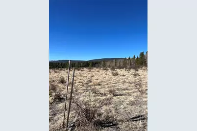 247 Thickspike, Fairplay, CO 80440 - Photo 9