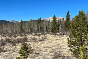 247 Thickspike, Fairplay, CO 80440 - Photo 1