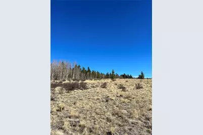 247 Thickspike, Fairplay, CO 80440 - Photo 5