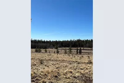 247 Thickspike, Fairplay, CO 80440 - Photo 3