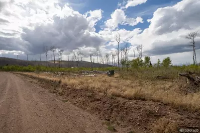 Lot 1316 Biaggini Lane, Fort Garland, CO 81133 - Photo 5