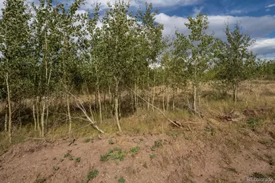 Lot 1316 Biaggini Lane, Fort Garland, CO 81133 - Photo 3