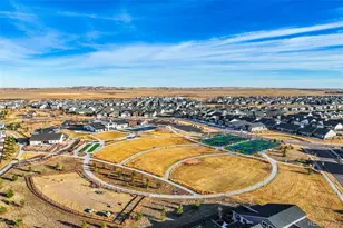 6323 Melvick Pt, Colorado Springs, CO 80927 - Photo 45