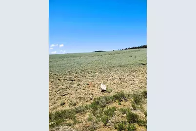 642 Mesa Road, Hartsel, CO 80449 - Photo 5