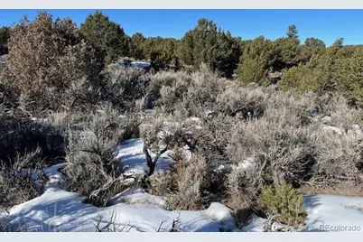 Lot 7860 Platten Road, Fort Garland, CO 81133 - Photo 11
