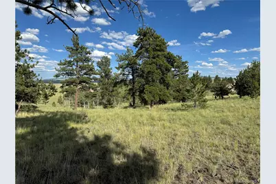 833 Angus Circle, Hartsel, CO 80449 - Photo 3