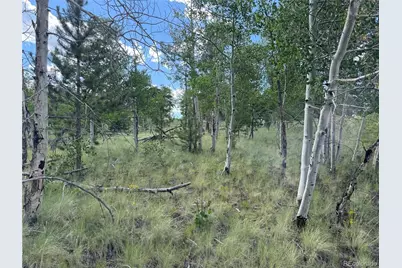 833 Angus Circle, Hartsel, CO 80449 - Photo 11