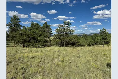 833 Angus Circle, Hartsel, CO 80449 - Photo 7