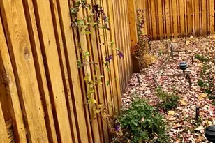 400 S Race St, Denver, CO 80209 - Photo 7