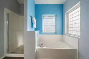 9301 Amison Cir, Parker, CO 80134 - Photo 21