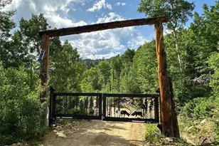 1555 Three Peaks Rd, Golden, CO 80403 - Photo 7