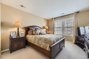 10776 Hillsboro Cir, Parker, CO 80134 - Photo 23