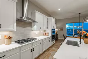 5665 Shadescale Way, Castle Rock, CO 80104 - Photo 13