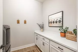 5665 Shadescale Way, Castle Rock, CO 80104 - Photo 23