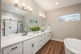 5665 Shadescale Way, Castle Rock, CO 80104 - Photo 19