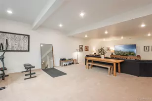 5665 Shadescale Way, Castle Rock, CO 80104 - Photo 27