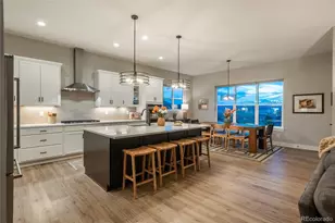 5665 Shadescale Way, Castle Rock, CO 80104 - Photo 11