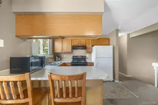 21173 E 42nd Ave, Denver, CO 80249 - Photo 19