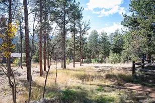 560 Gunsmoke Dr, Bailey, CO 80421 - Photo 31