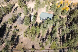 560 Gunsmoke Dr, Bailey, CO 80421 - Photo 35