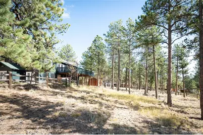 560 Gunsmoke Drive, Bailey, CO 80421 - Photo 33