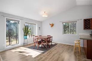 560 Gunsmoke Dr, Bailey, CO 80421 - Photo 7