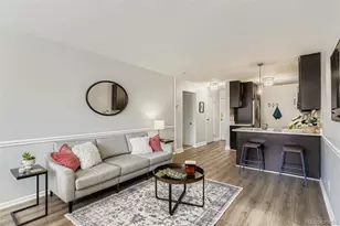 1243 N Washington St, Denver, CO 80203 - Photo 3