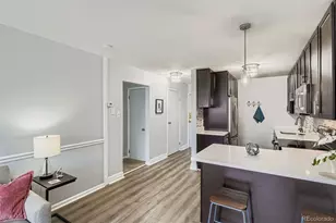 1243 N Washington St, Denver, CO 80203 - Photo 7