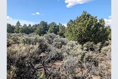 35 Acres Elk Park Road, San Luis, CO 81152 - Photo 11
