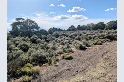 35 Acres Elk Park Road, San Luis, CO 81152 - Photo 15