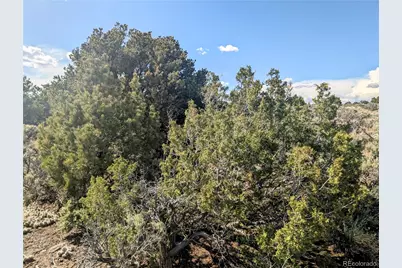 35 Acres Elk Park Road, San Luis, CO 81152 - Photo 29