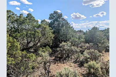 35 Acres Elk Park Road, San Luis, CO 81152 - Photo 19