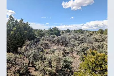 35 Acres Elk Park Road, San Luis, CO 81152 - Photo 9