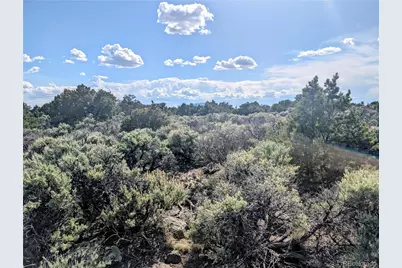 35 Acres Elk Park Road, San Luis, CO 81152 - Photo 17