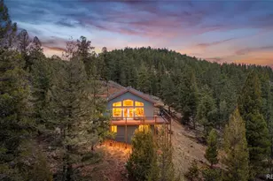461 Hitchrack Rd, Bailey, CO 80421 - Photo 41