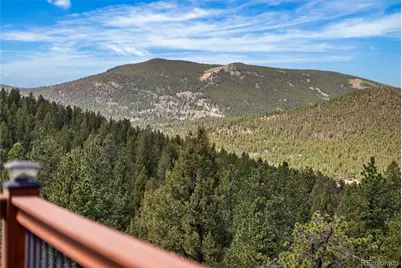 461 Hitchrack Road, Bailey, CO 80421 - Photo 37