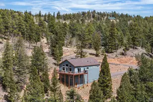 461 Hitchrack Rd, Bailey, CO 80421 - Photo 43